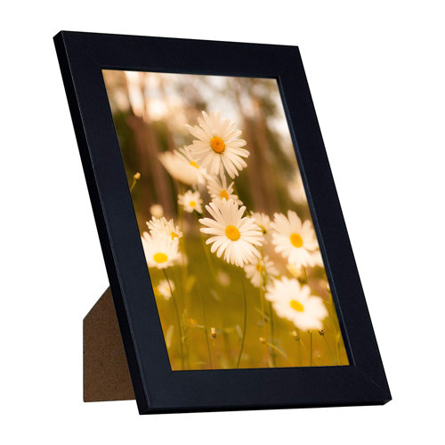Wayfair Black Picture Frames You'll Love in 2023